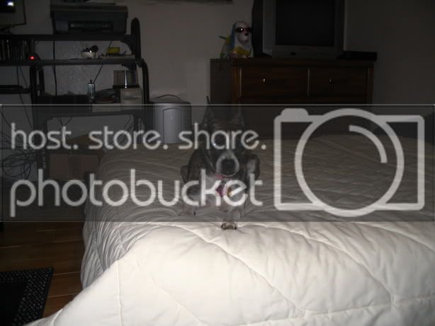 IMG_1571.jpg