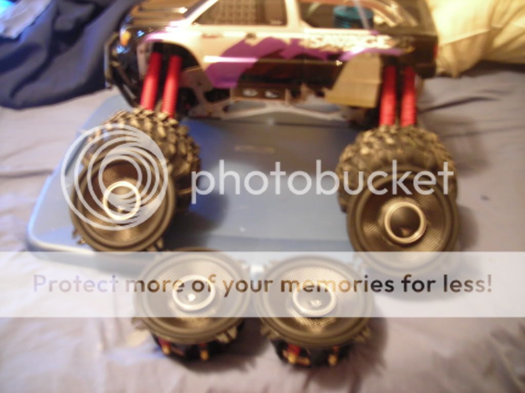 caylorsmarchpics2008023.jpg