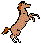 pony.gif