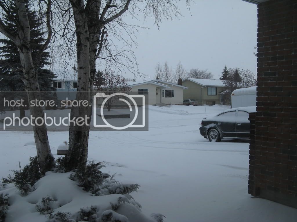 Picture001.jpg