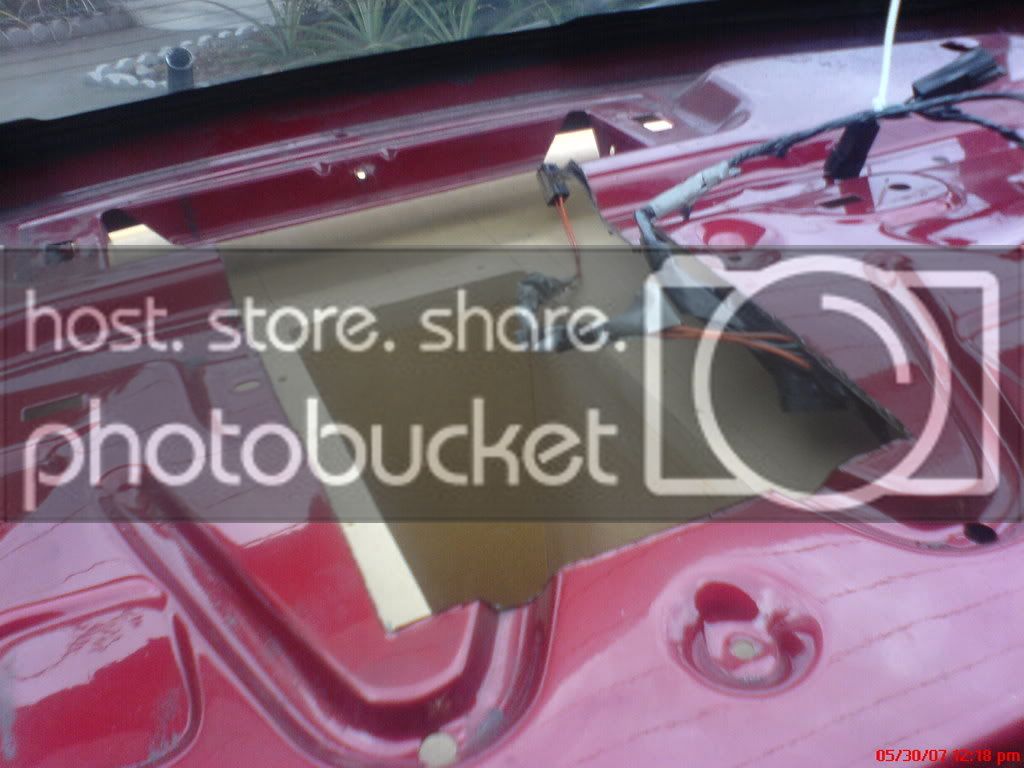 DSC00346.jpg