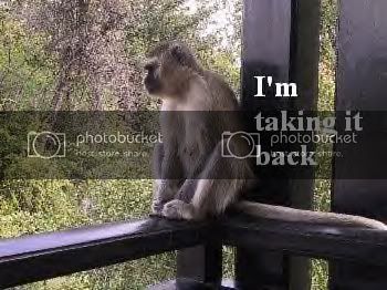Porchmonkey.jpg