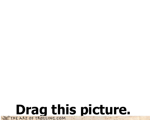 tumblr_lg1dwaqCVl1qb5gkjo1_500.png