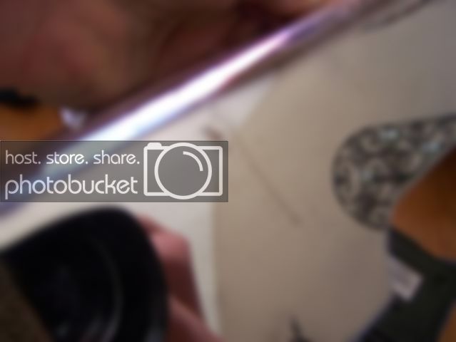 102_3723.jpg