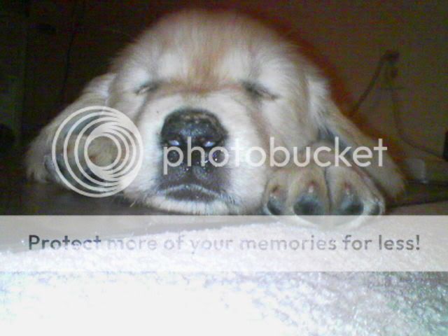 Picture050.jpg
