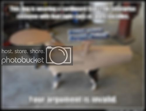 dog.jpg