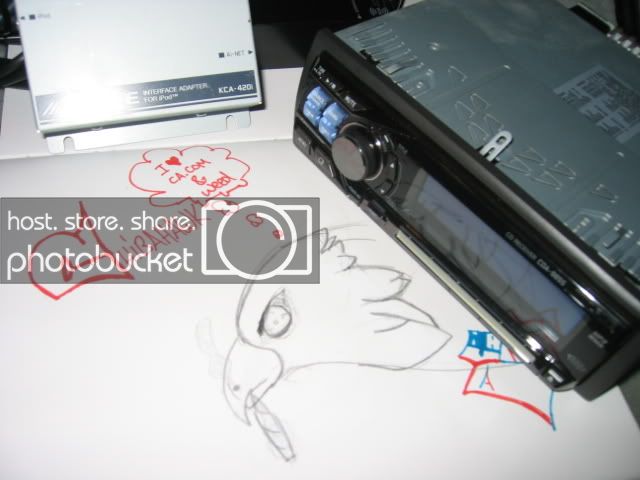 IMG_0243.jpg
