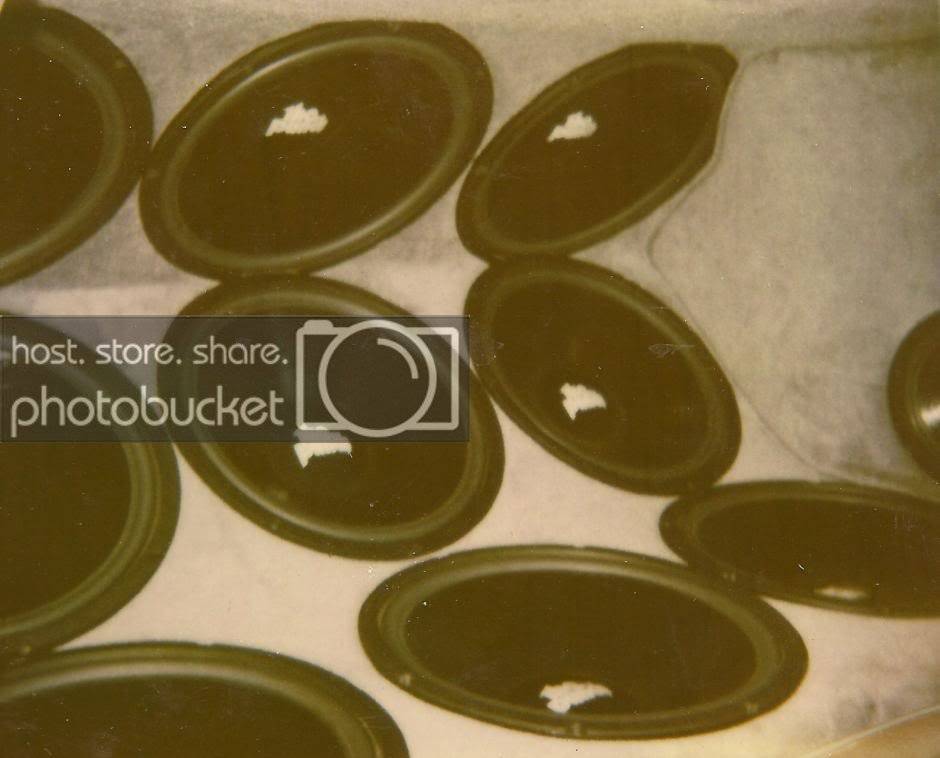 scan0028.jpg
