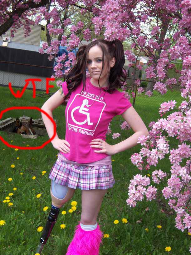 this-picture-is-full-of-it.jpg