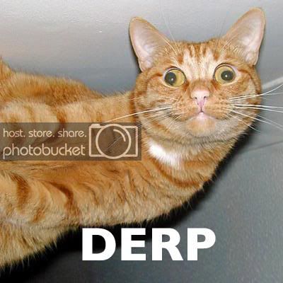 091128-derp.jpg