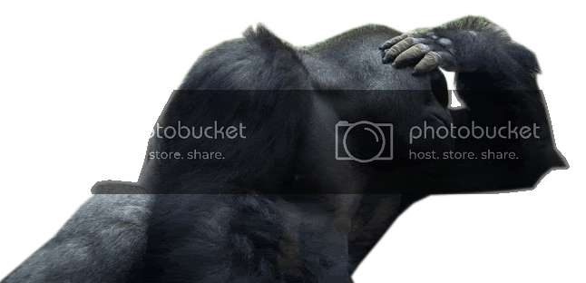 gorrillapicard.gif