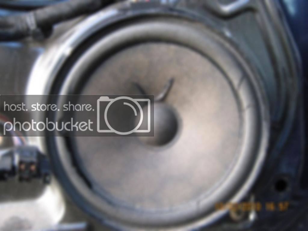 Vdub003.jpg