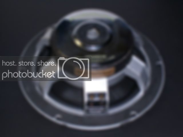 SL730423.jpg