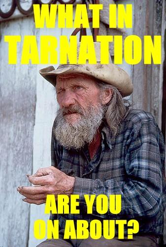 tarnation5rm.thumbnail.jpg