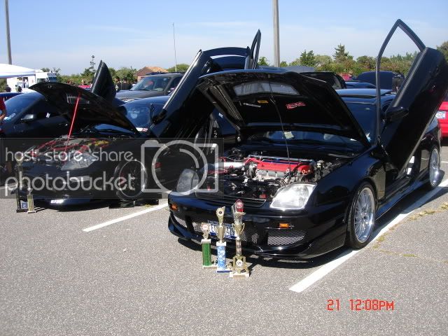 Picture2699.jpg