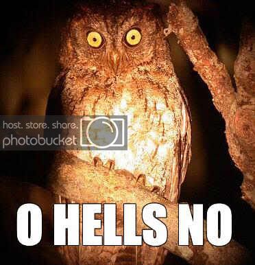 owlhellno1su.jpg