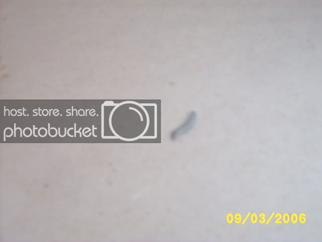 eccb078e.jpg