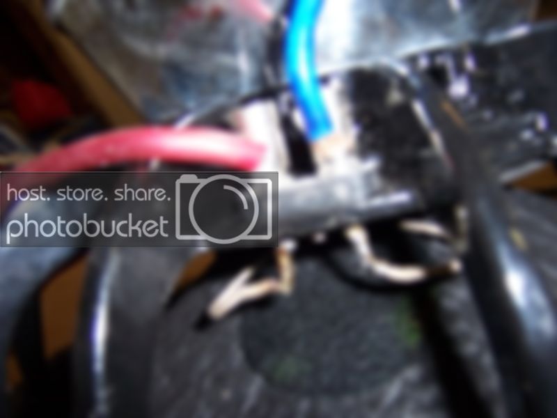 Mounted004.jpg