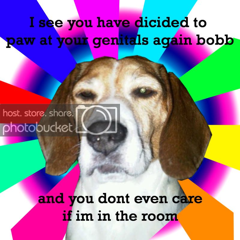 dogggggggggg.jpg