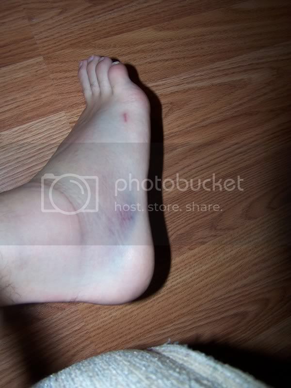 100_3375.jpg