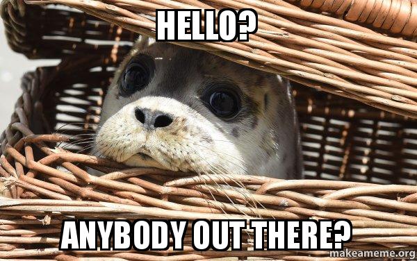 hello-anybody-out.jpg
