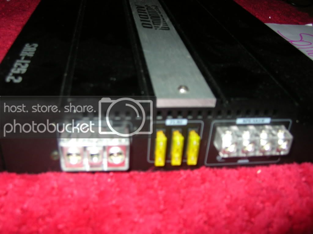 1252002.jpg