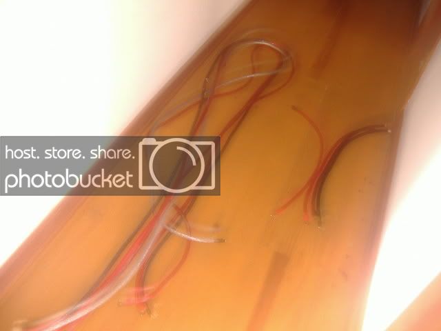 DSCF0508.jpg