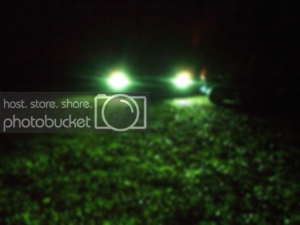 IMG00071-20111203-1903.jpg
