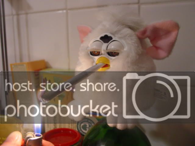 furby00014.jpg