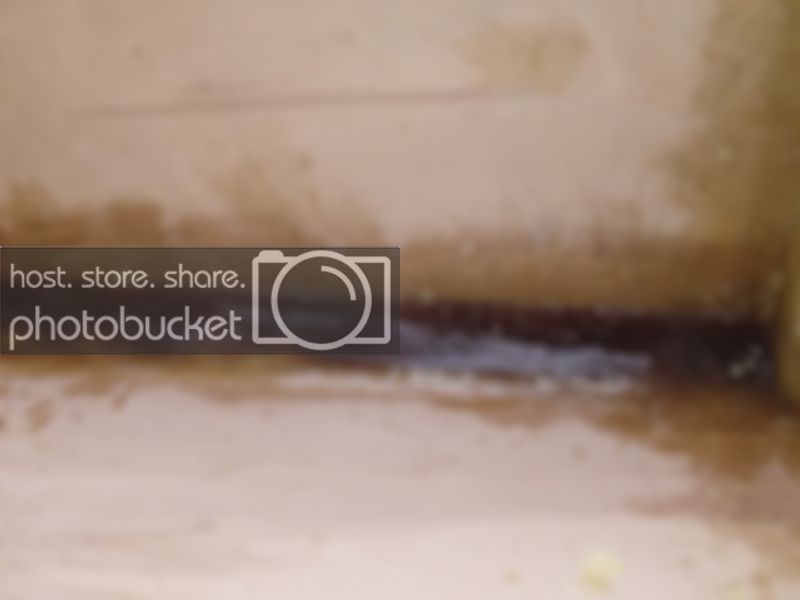 DSCF9747.jpg
