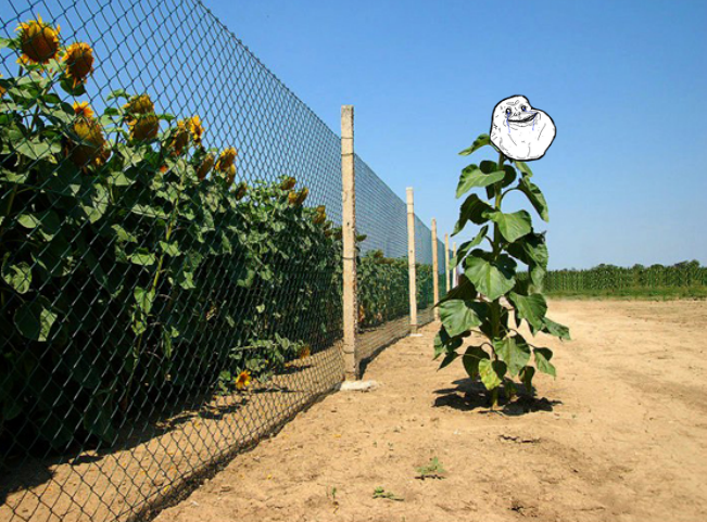 yvWbI.png