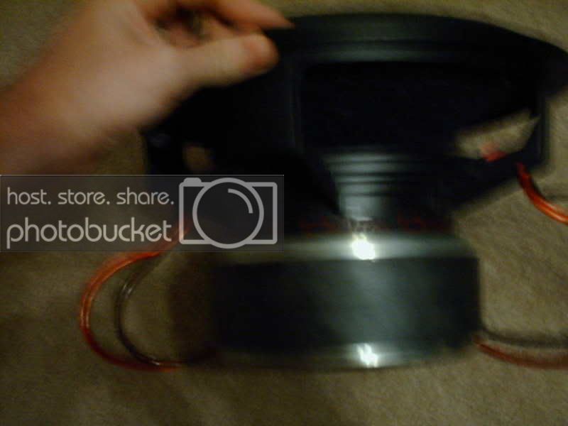 mypics290.jpg