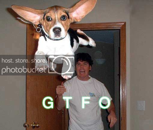 gtfo_copy3.jpg
