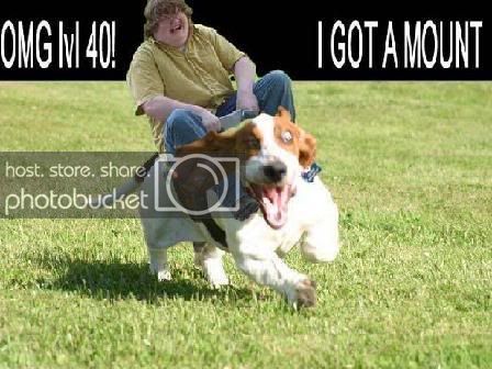 rofl1.jpg
