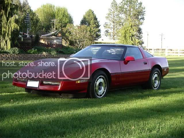 vette.jpg