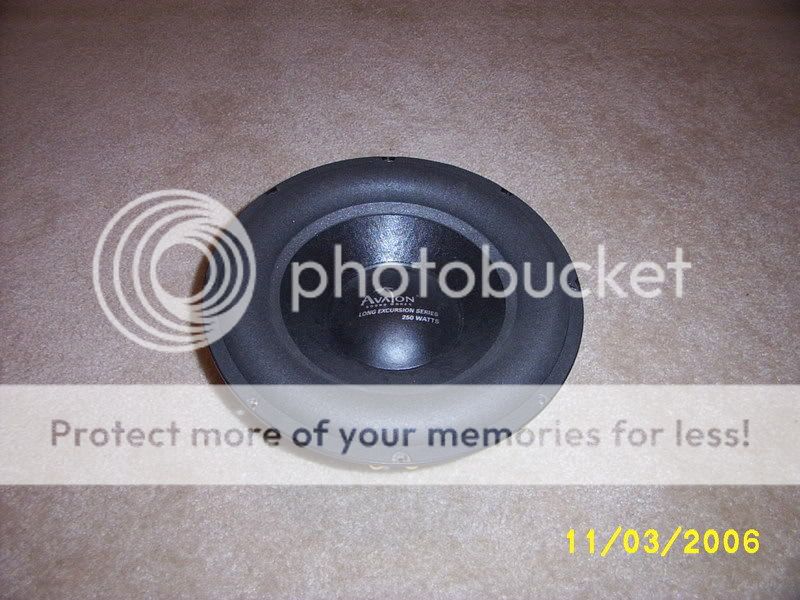 Picture379.jpg