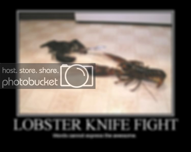 LobsterKnifeFight.jpg