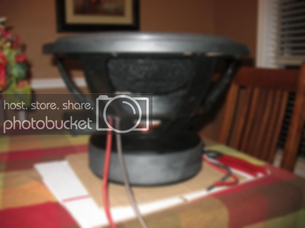 IMG_2342_zps27255ec4.jpg
