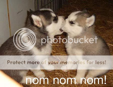huskycopy.jpg