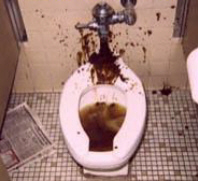 Dirty%20Toilet.jpg