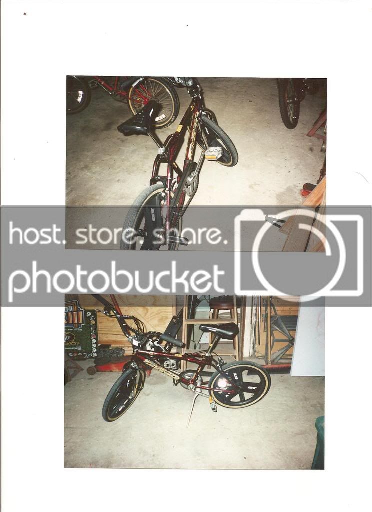 bikes.jpg