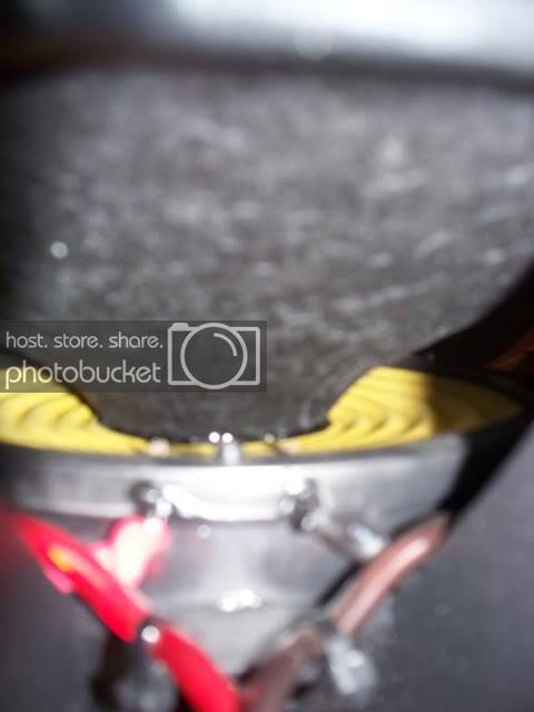 100_2050.jpg