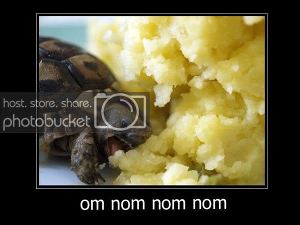 Om_Nom_Nom.jpg