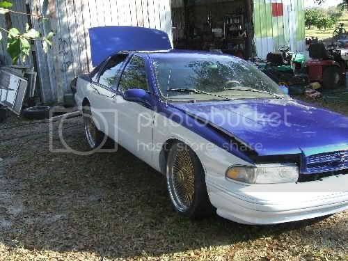 impalanewpaintlifted.jpg