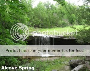 alcove_spring_300.jpg