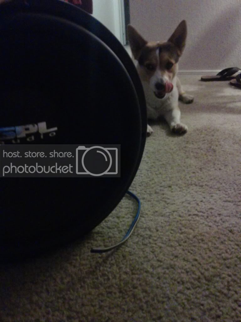 IMG_20131204_193825_zps34adb86a.jpg