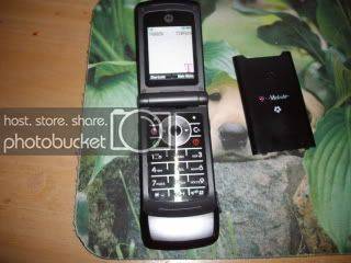 w490005.jpg