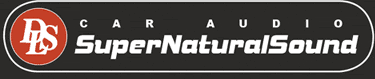 DLS_logo.gif