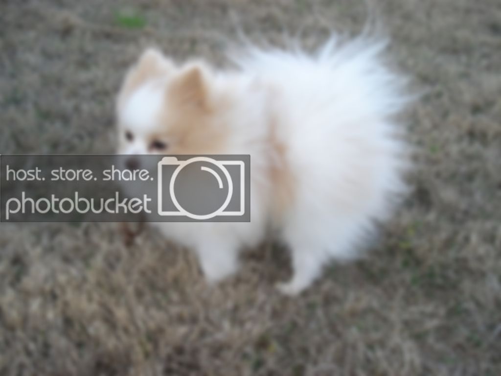 DSC08464.jpg