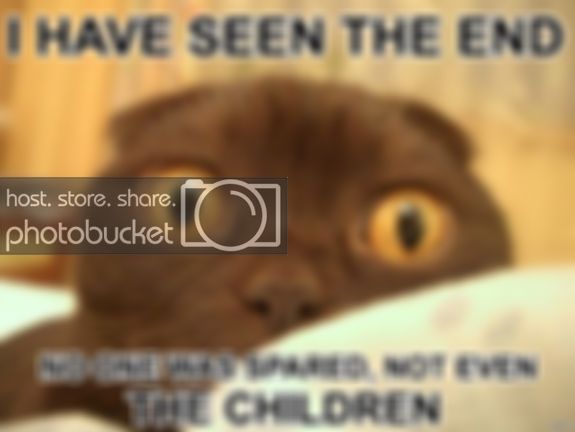 FunnyCat-IHaveSeenTheEnd.jpg